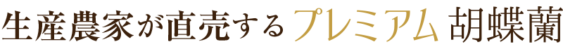 生産農家が直売するプレミアム胡蝶蘭