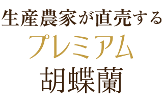 生産農家が直売するプレミアム胡蝶蘭